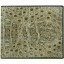 Genuine alligator leather wallet CW101 Natural