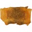 Genuine frog / toad skin FROGSK02 Buttercup