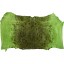 Genuine frog / toad skin FROGSK02 Green