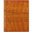 Genuine alligator leather wallet HKCM62T Tan