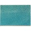Genuine stingray leather card holder NB25-1SA Turquoise