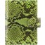 Genuine python leather passport wallet PANW50PT Green