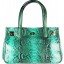 Genuine python snake leather bag PBG8215PT Green