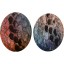 Genuine python snake leather earrings PTER50 MC