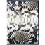 Genuine python leather money clip PTMCLIP05 Natural