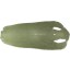 Genuine stingray skin STSKIN2-SAR Grayish Green