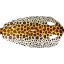 Genuine stingray skin STSKIN3-R Tiger