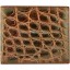 Genuine crocodile leather wallet USAM04 Brown
