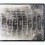 Genuine alligator leather wallet USCM7T08 Natural